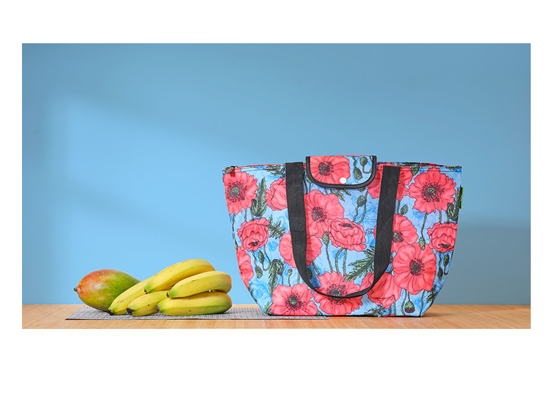 Eco Chic - Large Cool Bag (koeltas)