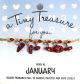 Tiny Treasure armband januari 