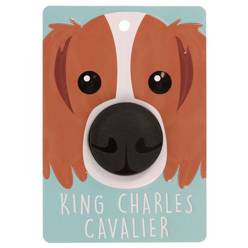 Hundeleinenaufhänger - DL79 - King Charles Cavalier - Blenheim