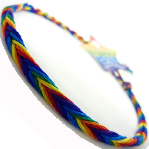 660034 - WB Friendship Bracelet - D4 Rainbow
