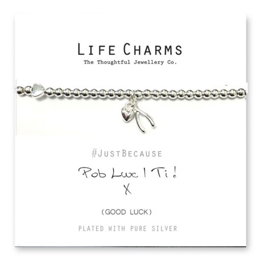 Life Charms - LC022BW - Just because - Wishes come True