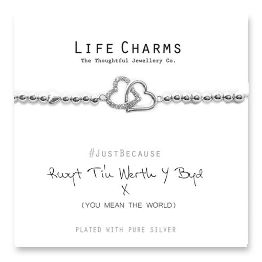 Life Charms - LC033BW - Just because - You mean the World to me